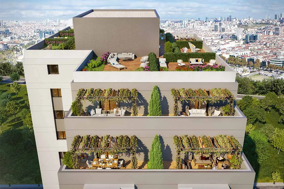 As Concept - image 4