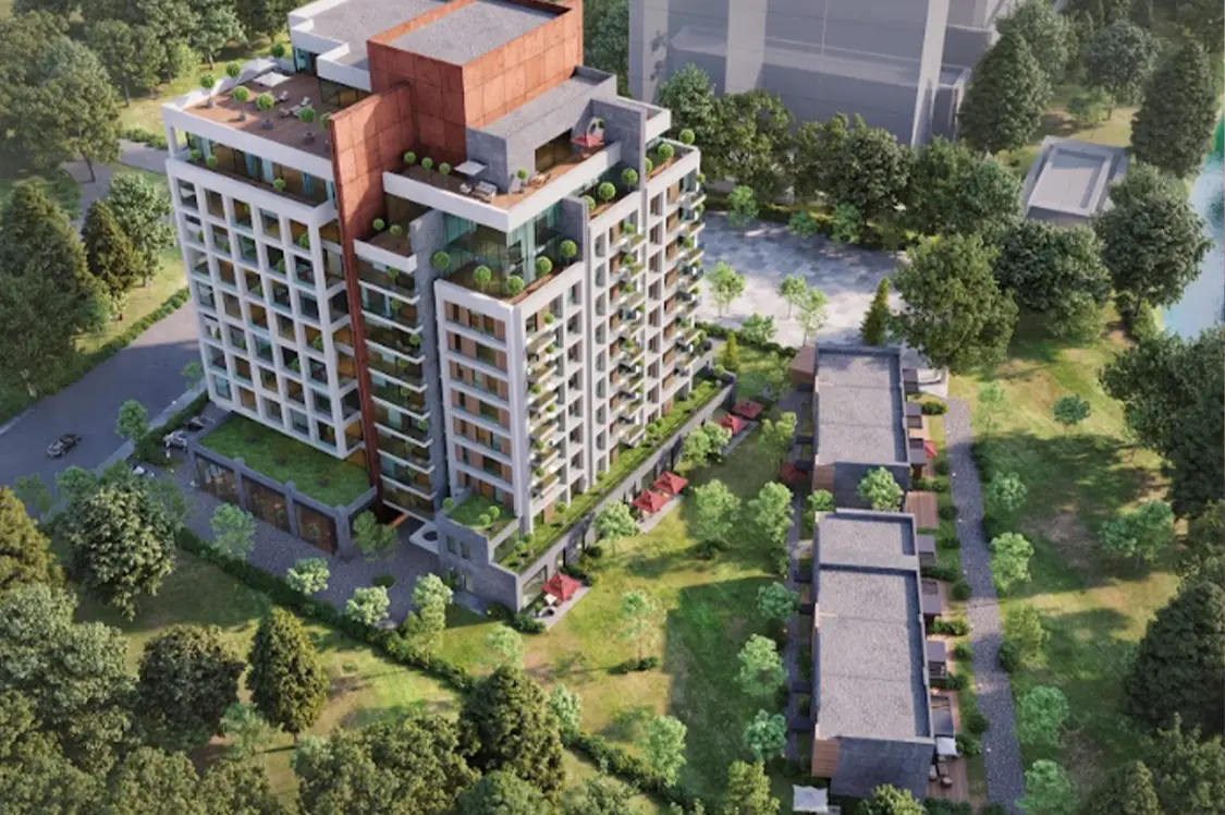 Seba Central - image 4