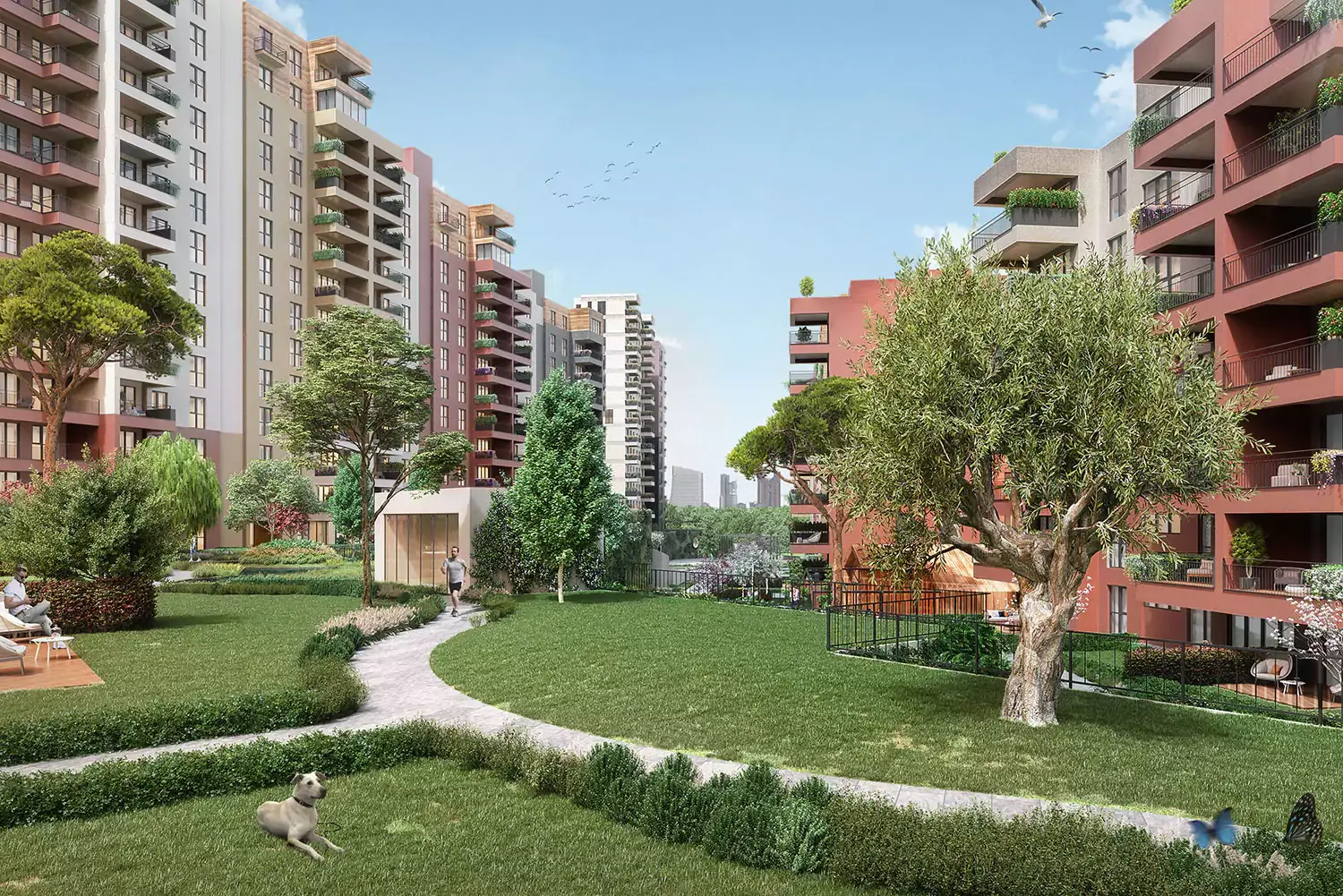 Синпаш Кору Аура - image 9