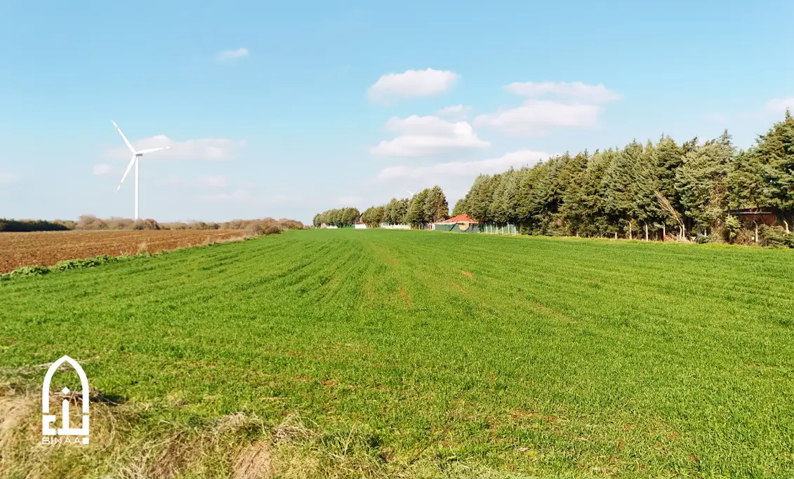 земли на продажу в Турции